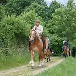 Holiday home Koenigskerze Wissmannsdorf