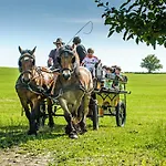 Koenigskerze * Wissmannsdorf