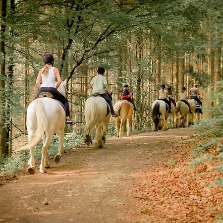 בית נופש Koenigskerze Wißmannsdorf