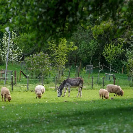 別荘 Koenigskerze *