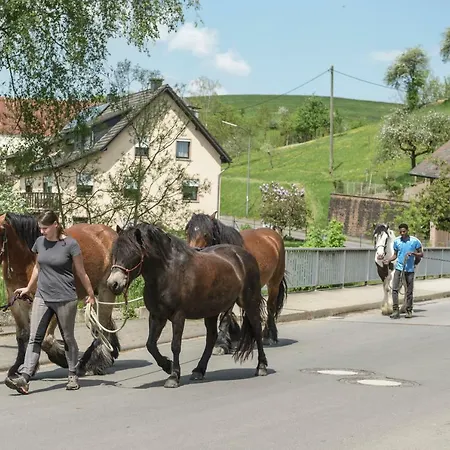 Koenigskerze בית נופש