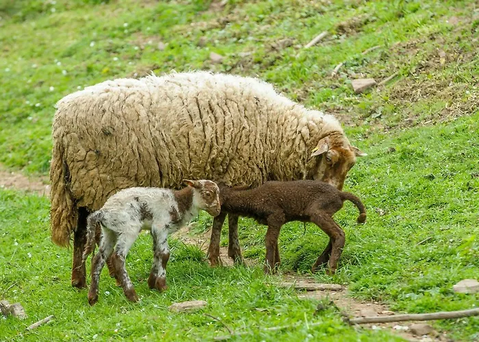 Casa vacanze Koenigskerze Wißmannsdorf