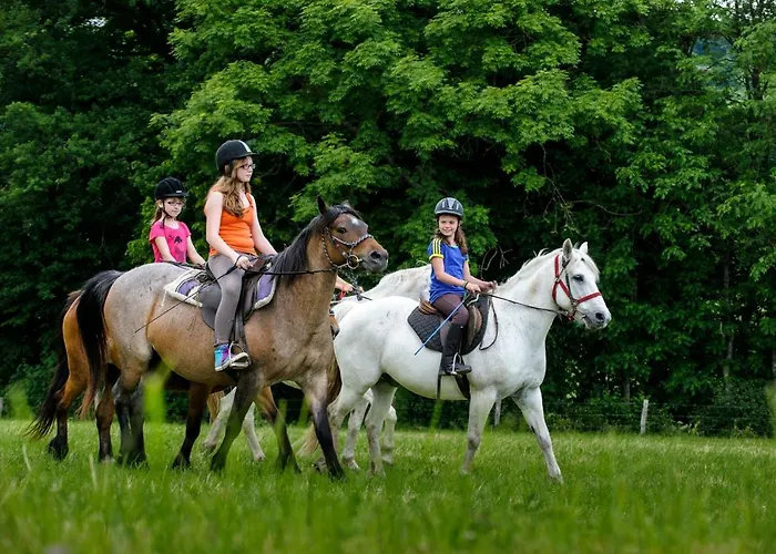 Koenigskerze Casa vacanze Wißmannsdorf