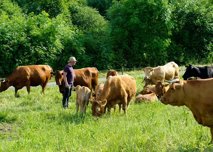 Koenigskerze Casa vacanze Wißmannsdorf