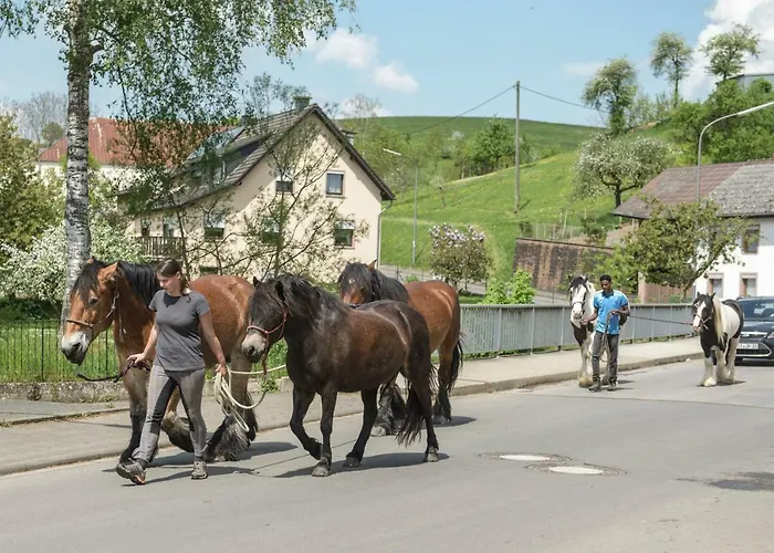 Koenigskerze Casa vacanze
