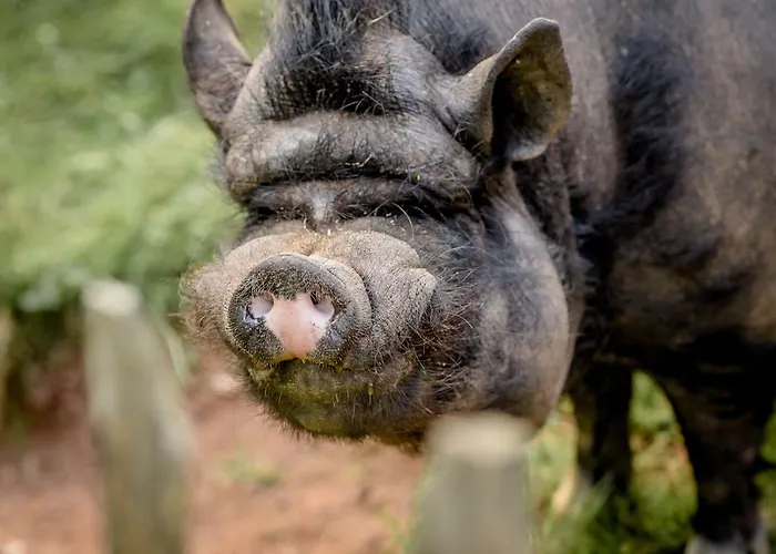 Casa vacanze Koenigskerze *