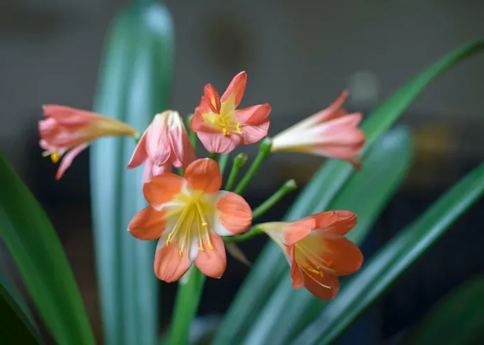 Casa vacanze Koenigskerze *